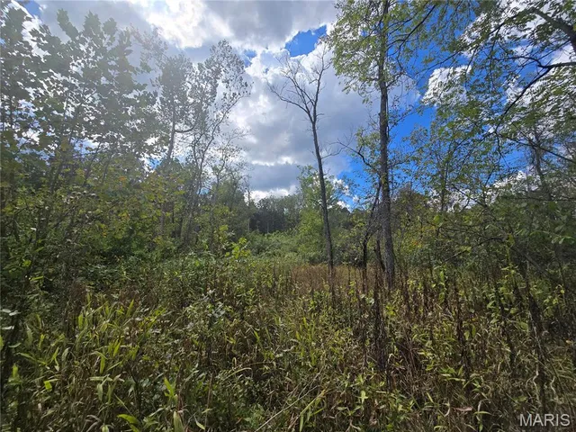 $237,500 | 20 Acres Highway, Cadet, MO 63630