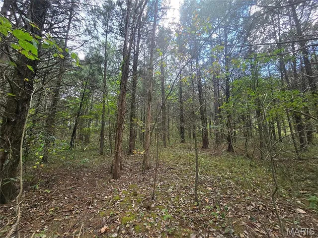 $237,500 | 20 Acres Highway, Cadet, MO 63630