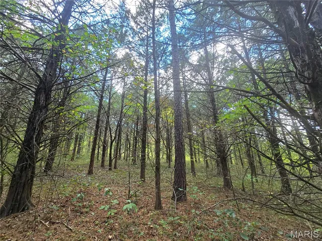 $237,500 | 20 Acres Highway, Cadet, MO 63630