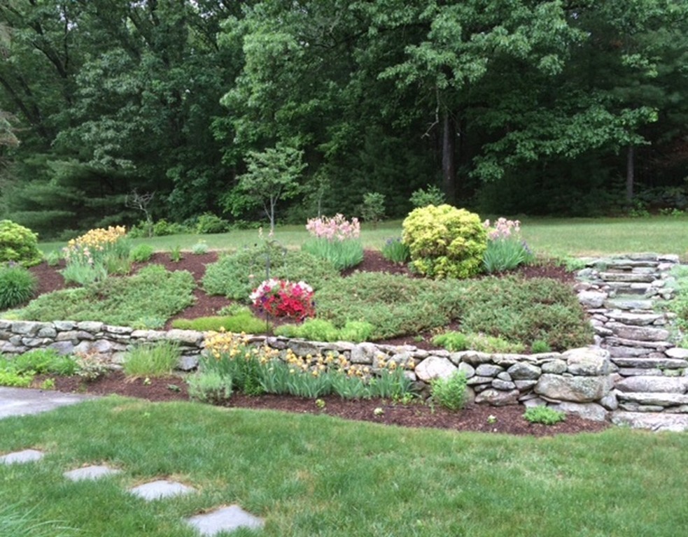 51 Harvard Road Stow, MA 01775 - Photo 16 of 17 a bunch of flowers and trees in a yard