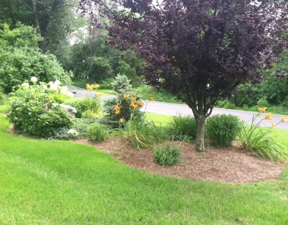 51 Harvard Road Stow, MA 01775 - Photo 17 of 17 a backyard of a house with lots of green space