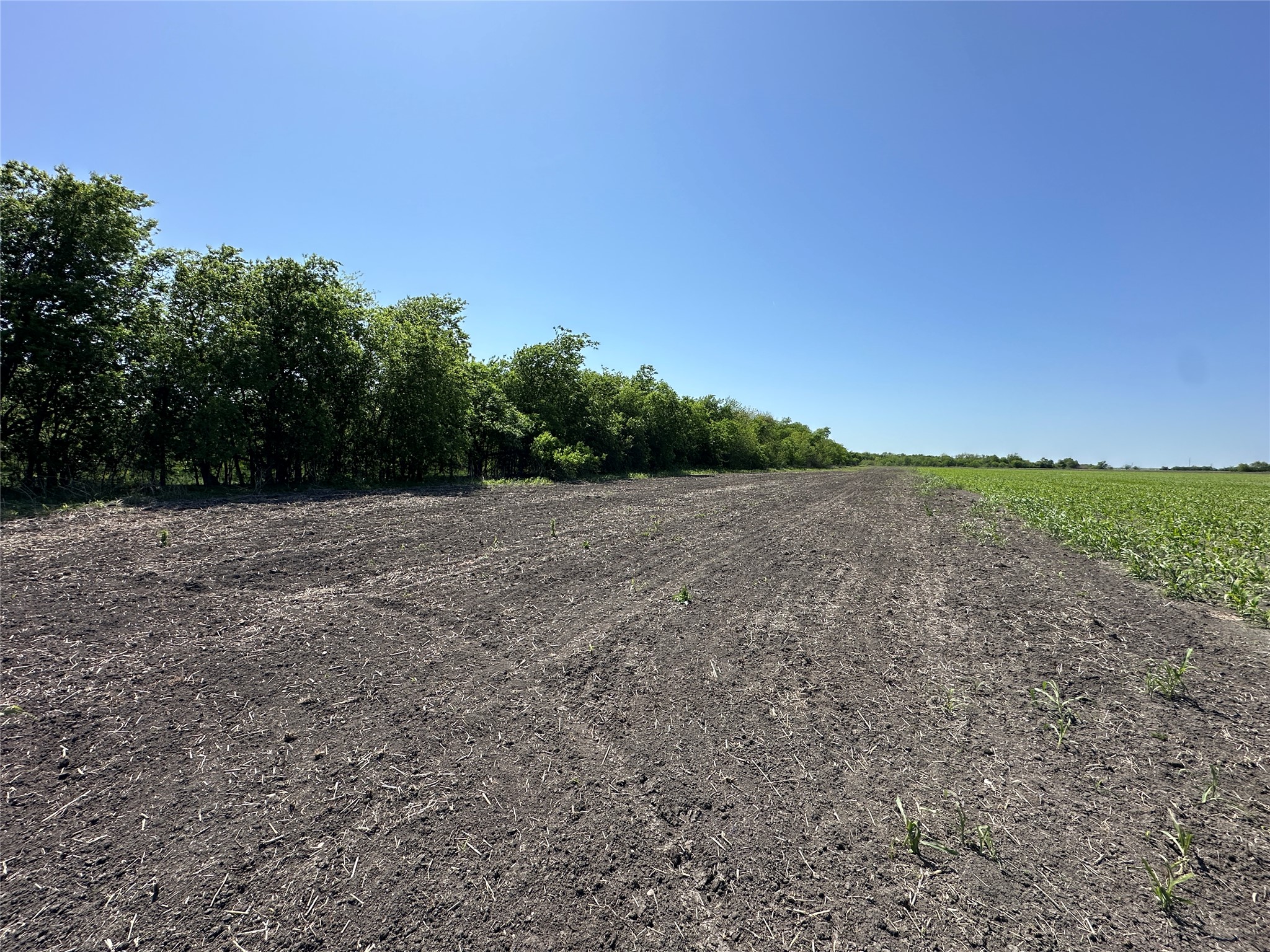 8500 North Fork Road Bartlett, TX 76511 - Photo 22 of 25