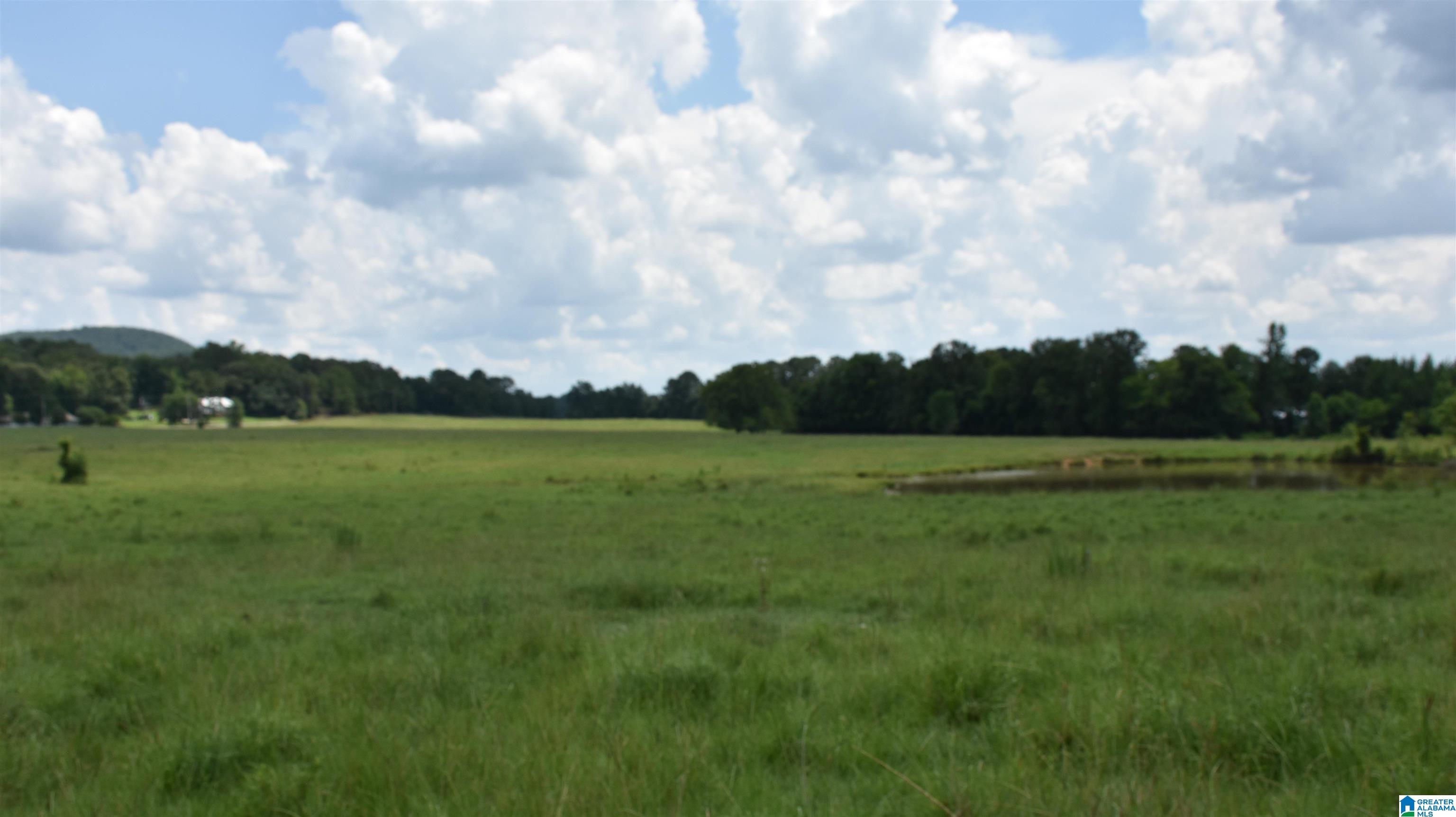 0 Risers Mill Road Alpine, AL 35014 - Photo 19 of 25