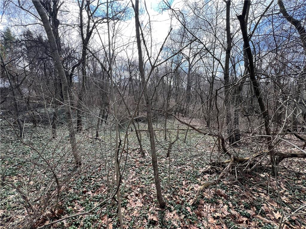 0 Spruce Drive Monaca, PA 15061 - Photo 2 of 11 a view of a yard with large trees