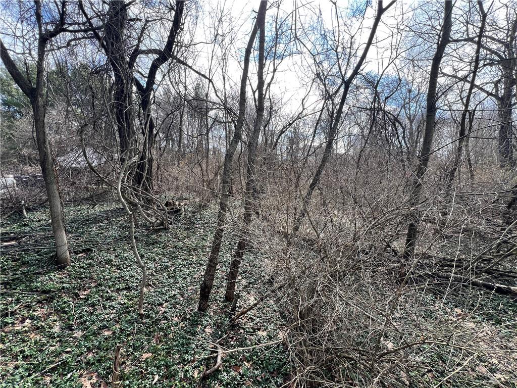 0 Spruce Drive Monaca, PA 15061 - Photo 4 of 11 a view of a yard