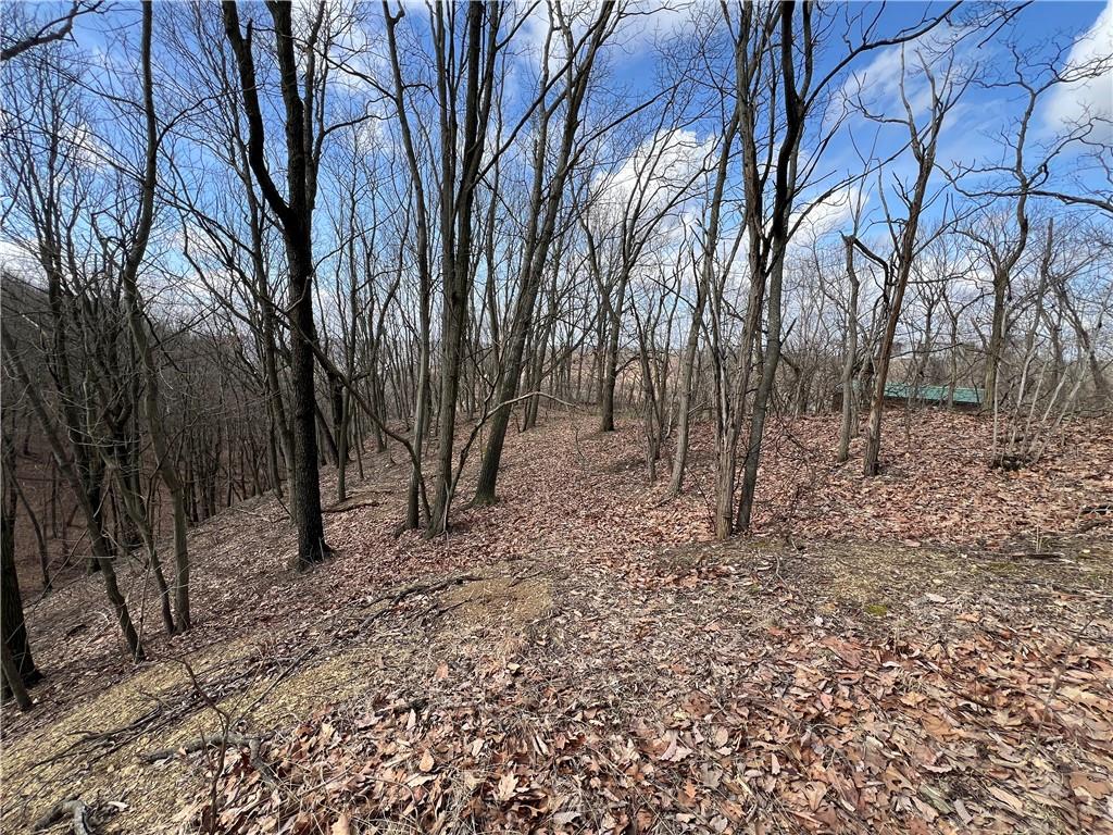 0 Spruce Drive Monaca, PA 15061 - Photo 8 of 11 a backyard of a house with lots of green space