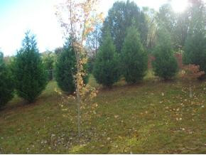 110 Stage Road Jonesborough, TN 37659 - Photo 6 of 7 Photo 6