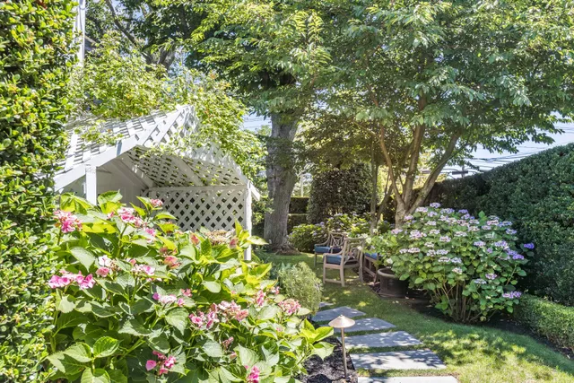 a picture of flowers