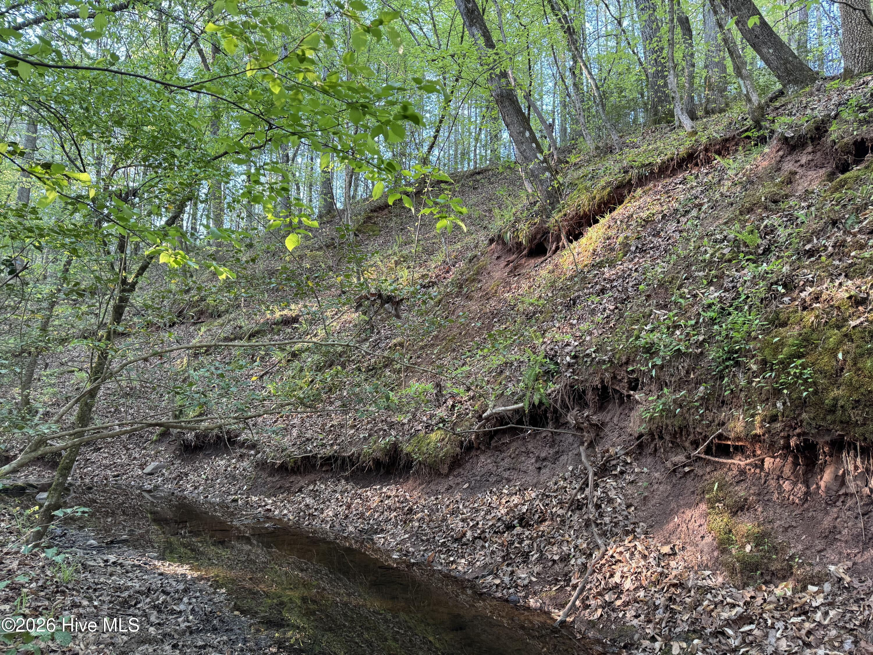 0 Cartledge Creek Road Rockingham, NC 28379 - Photo 13 of 32 Cartledge Creek