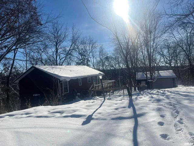 a house with trees in front of it