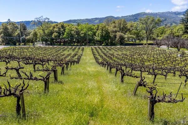 $795,000 | 3200 Rd J, Redwood Valley, CA 95470