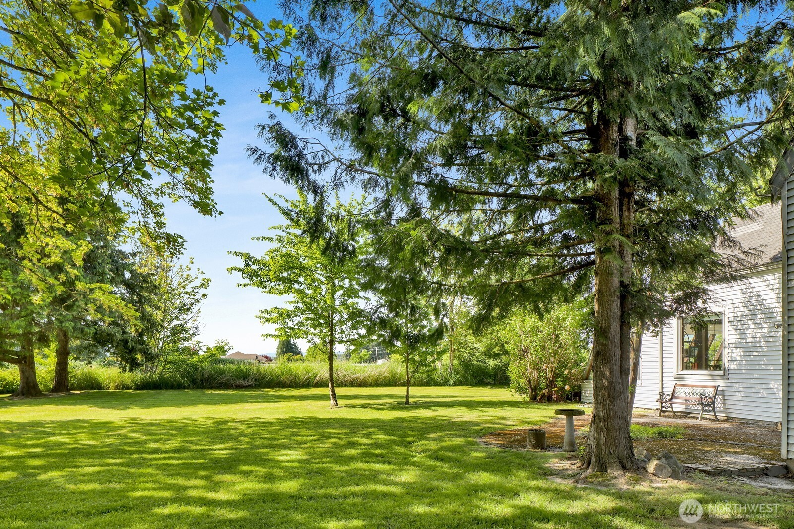 8172 Van Buren Road Everson, WA 98247 - Photo 22 of 33 a view of a trees in a yard