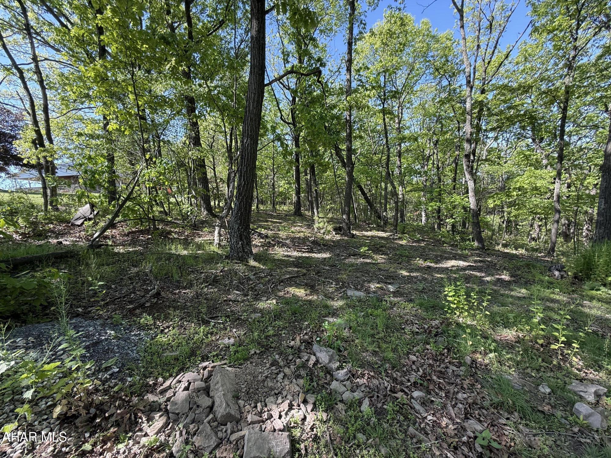 473 Calhoun Road Everett, PA 15537 - Photo 40 of 45 a big yard with lots of green space and deers