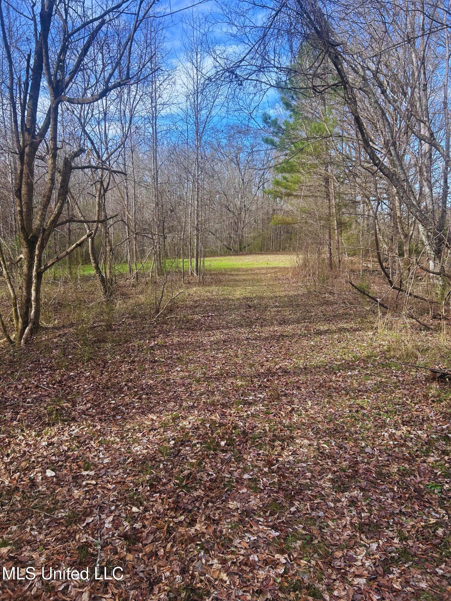 Ratliff Road Flora, MS 39071 - Photo 11 of 17 11