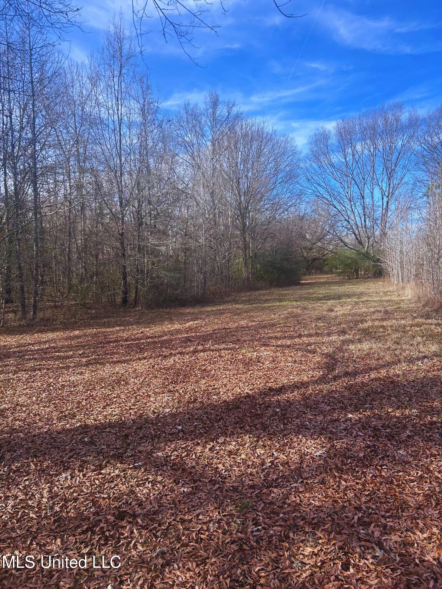 Ratliff Road Flora, MS 39071 - Photo 12 of 17 12