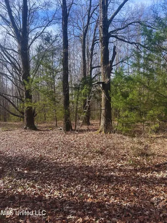 $62,000 | Ratliff Road, Flora, MS 39071
