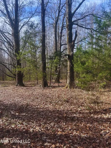 $62,000 | Ratliff Road, Flora, MS 39071