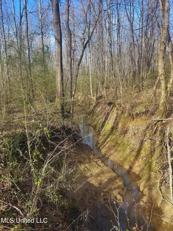 $62,000 | Ratliff Road, Flora, MS 39071