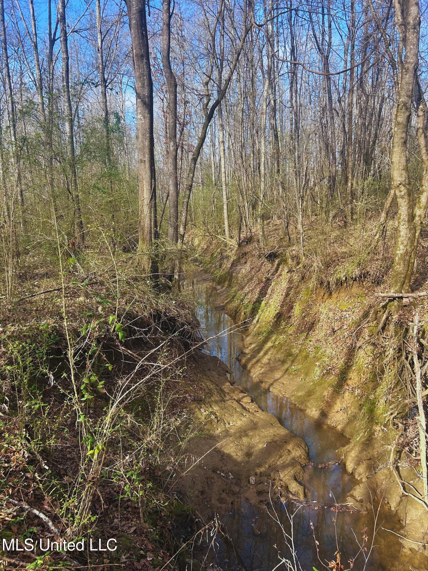 Ratliff Road Flora, MS 39071 - Photo 14 of 17 14