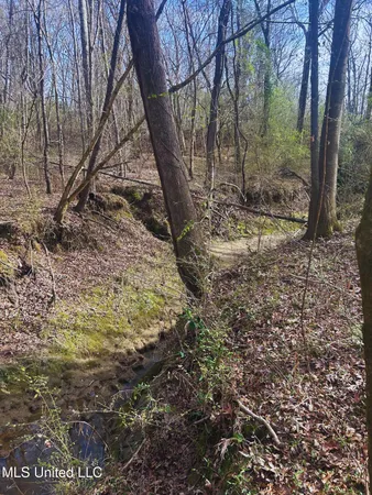 $62,000 | Ratliff Road, Flora, MS 39071