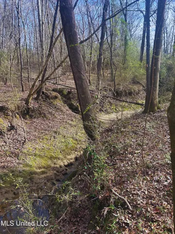 $62,000 | Ratliff Road, Flora, MS 39071