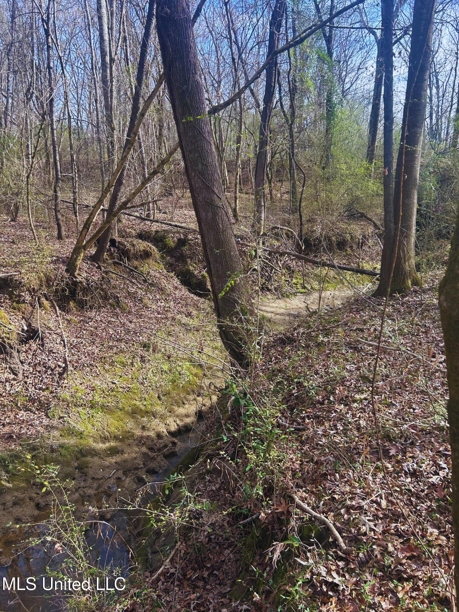 Ratliff Road Flora, MS 39071 - Photo 15 of 17 15