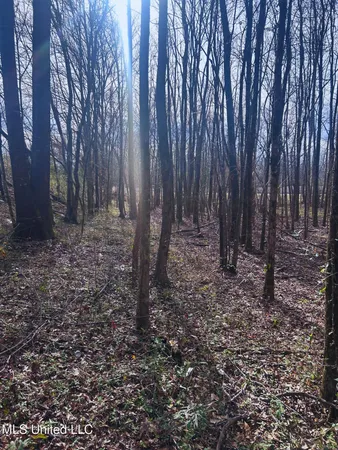 $62,000 | Ratliff Road, Flora, MS 39071