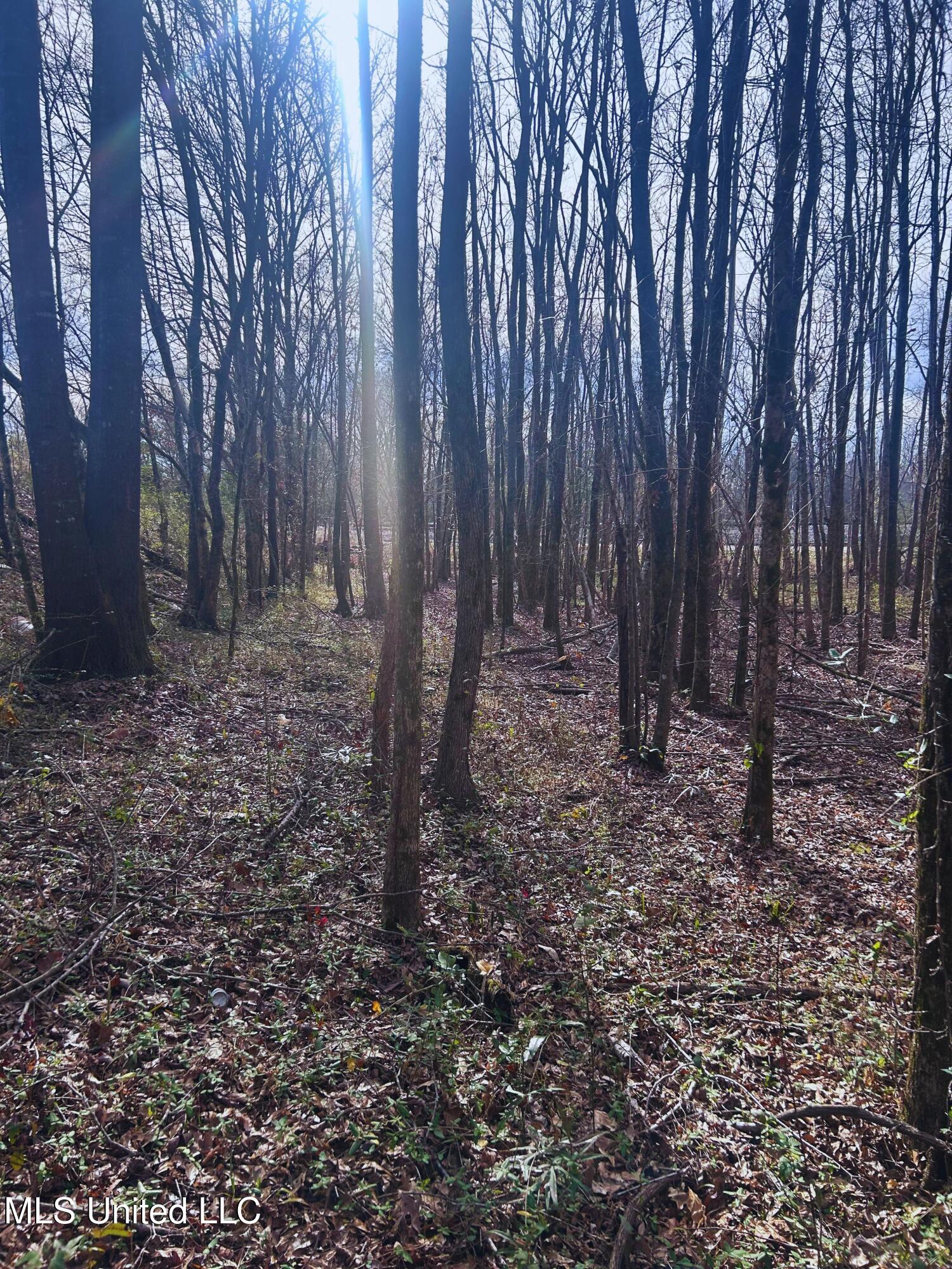 Ratliff Road Flora, MS 39071 - Photo 16 of 17 16