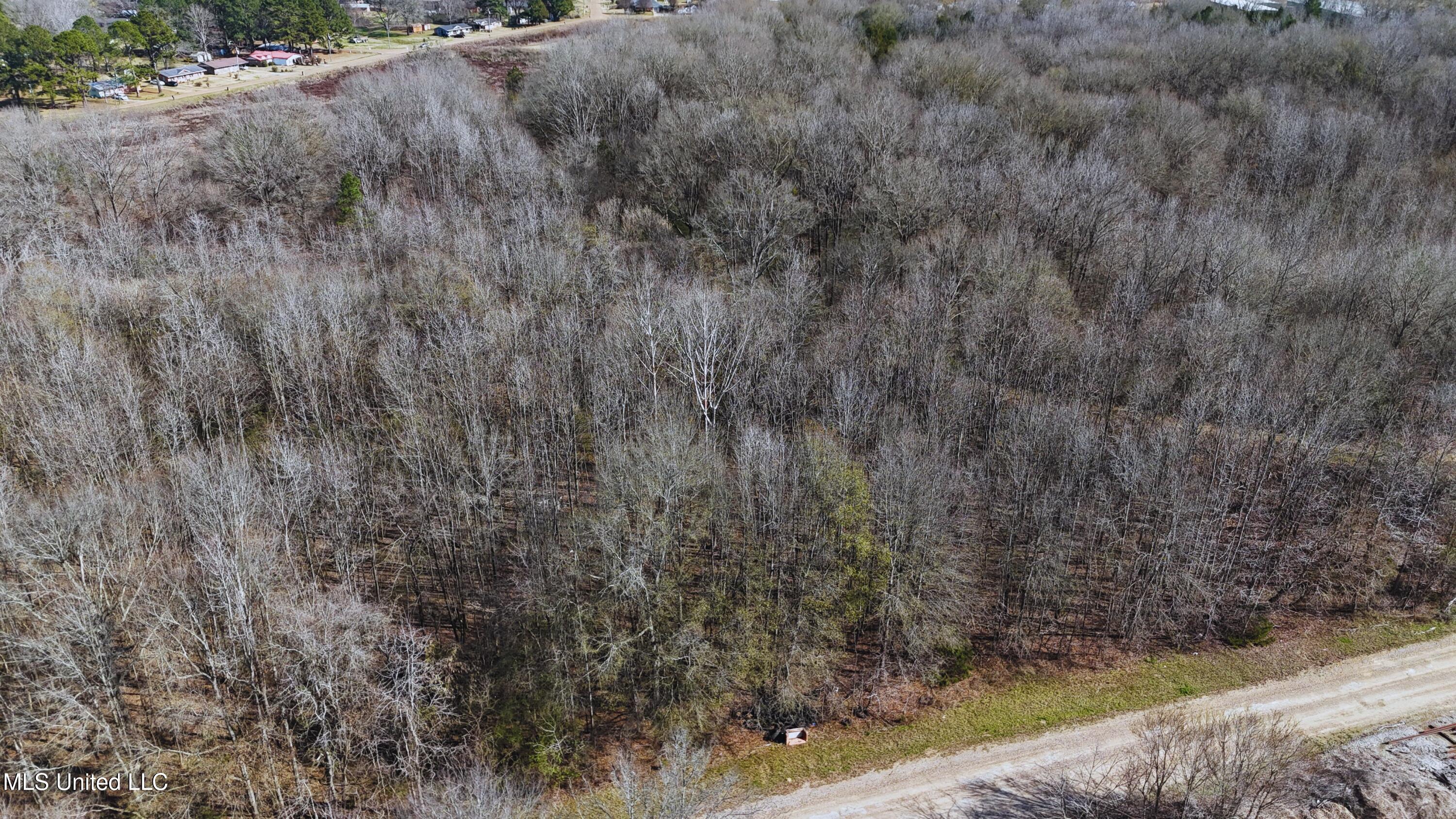 Ratliff Road Flora, MS 39071 - Photo 2 of 17 2