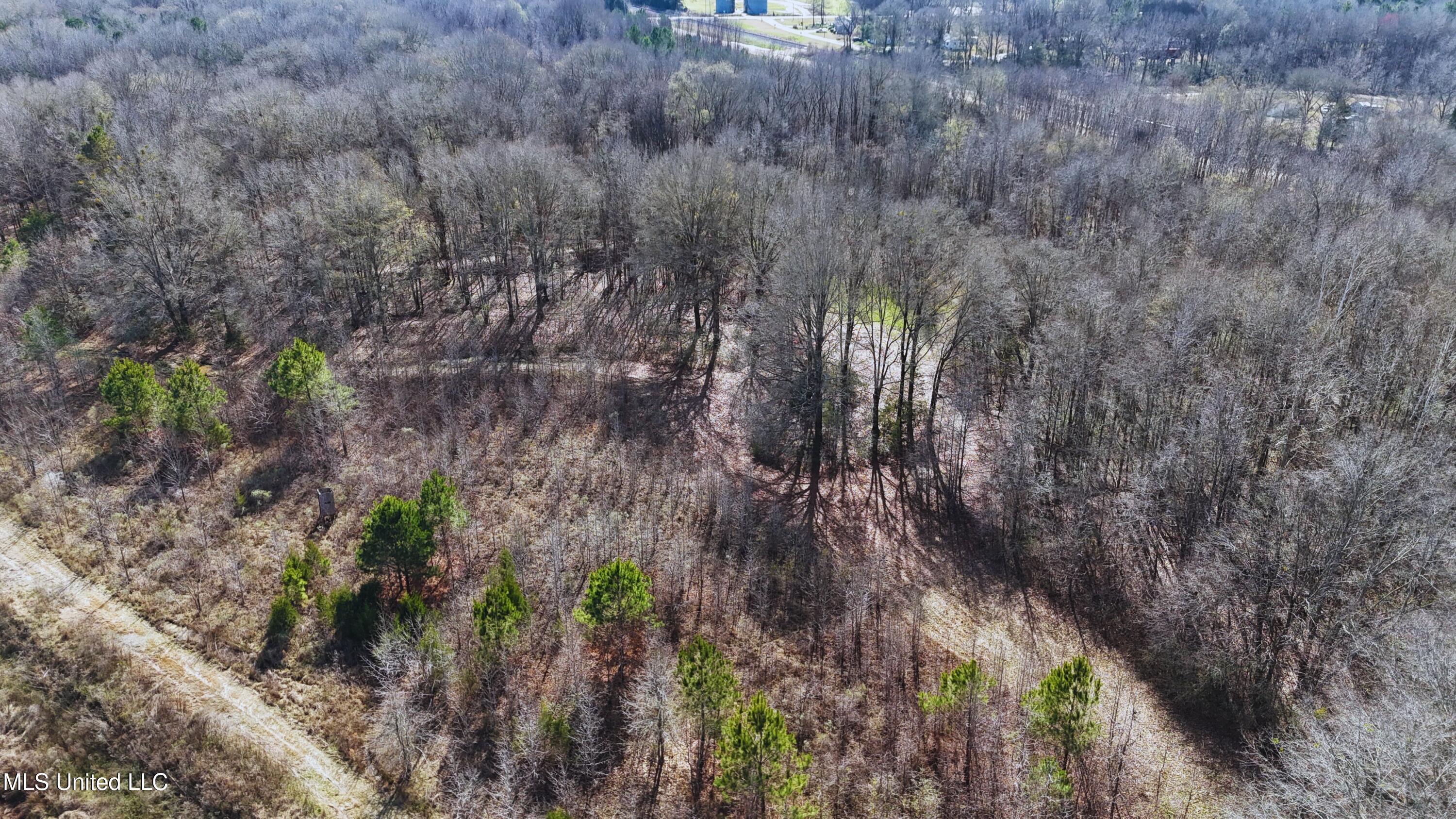 Ratliff Road Flora, MS 39071 - Photo 3 of 17 3