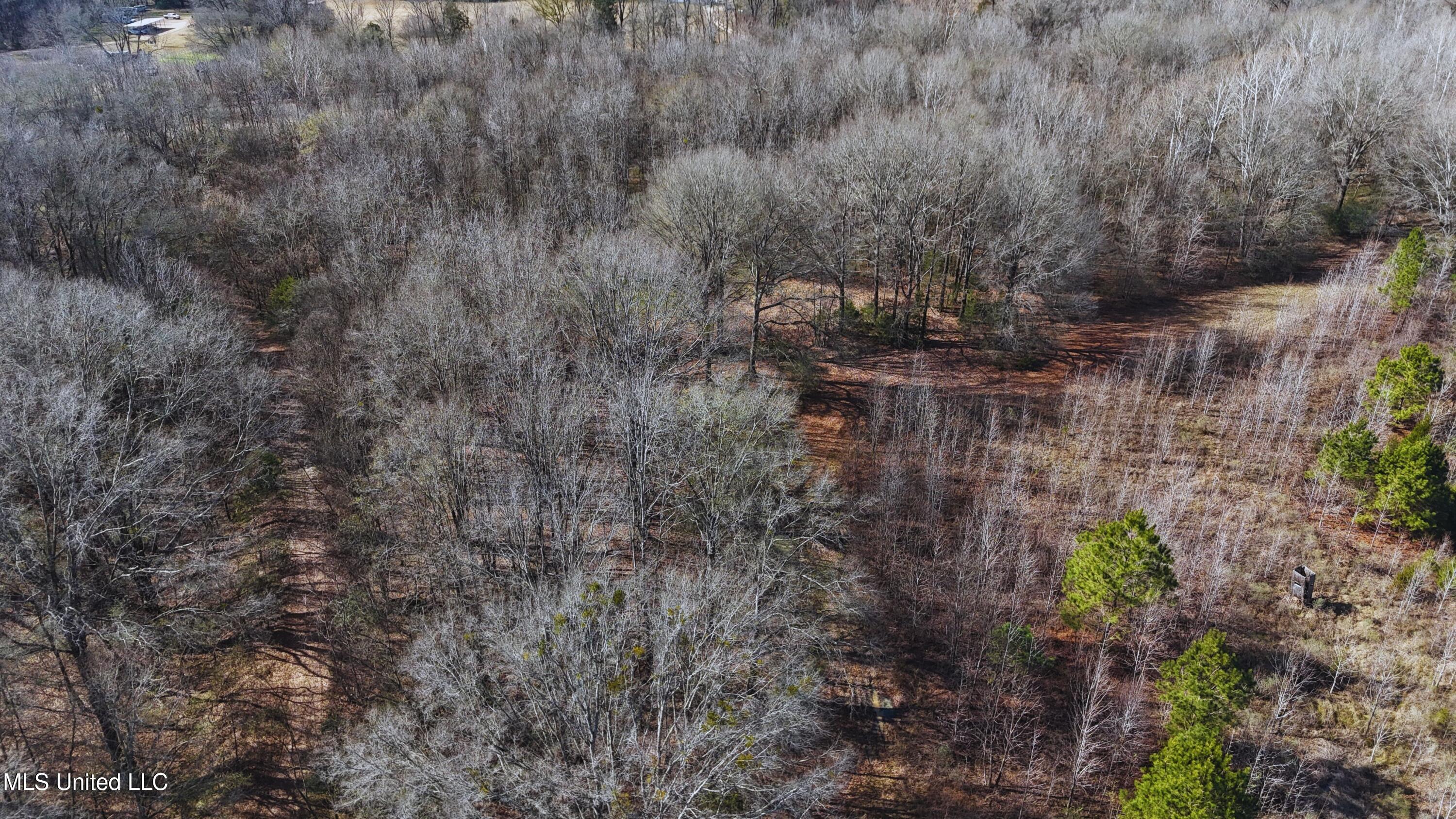 Ratliff Road Flora, MS 39071 - Photo 4 of 17 4