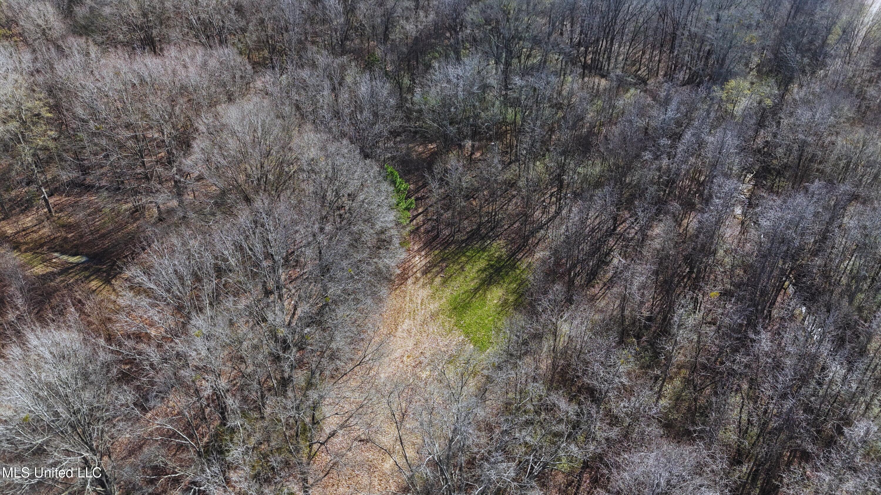 Ratliff Road Flora, MS 39071 - Photo 6 of 17 6