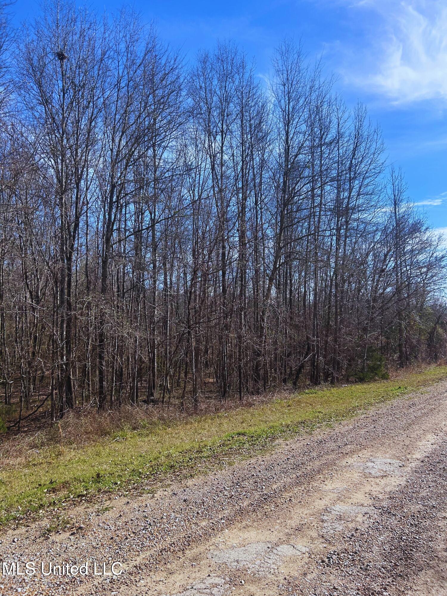 Ratliff Road Flora, MS 39071 - Photo 8 of 17 8