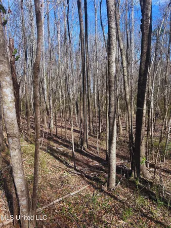 $62,000 | Ratliff Road, Flora, MS 39071