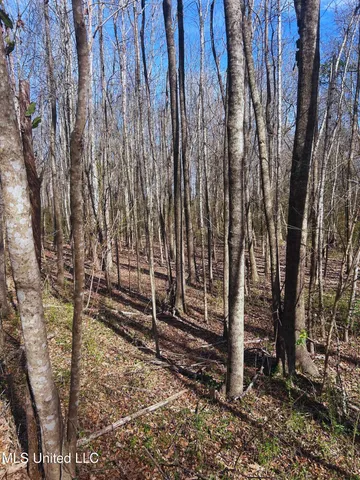 $62,000 | Ratliff Road, Flora, MS 39071