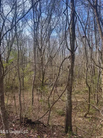 $62,000 | Ratliff Road, Flora, MS 39071