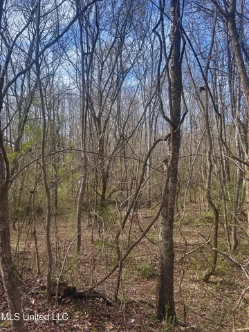 $62,000 | Ratliff Road, Flora, MS 39071