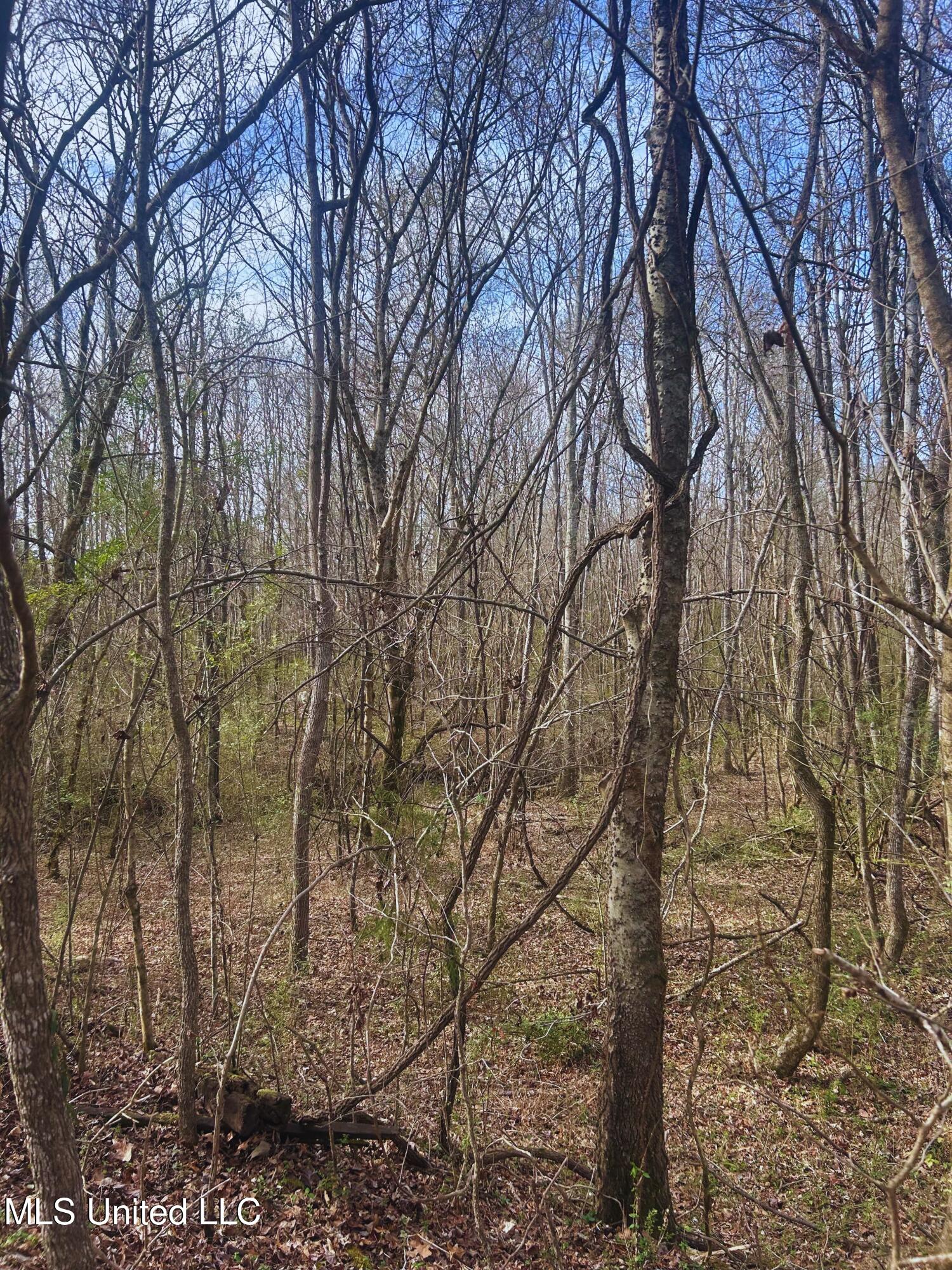 Ratliff Road Flora, MS 39071 - Photo 10 of 17 10