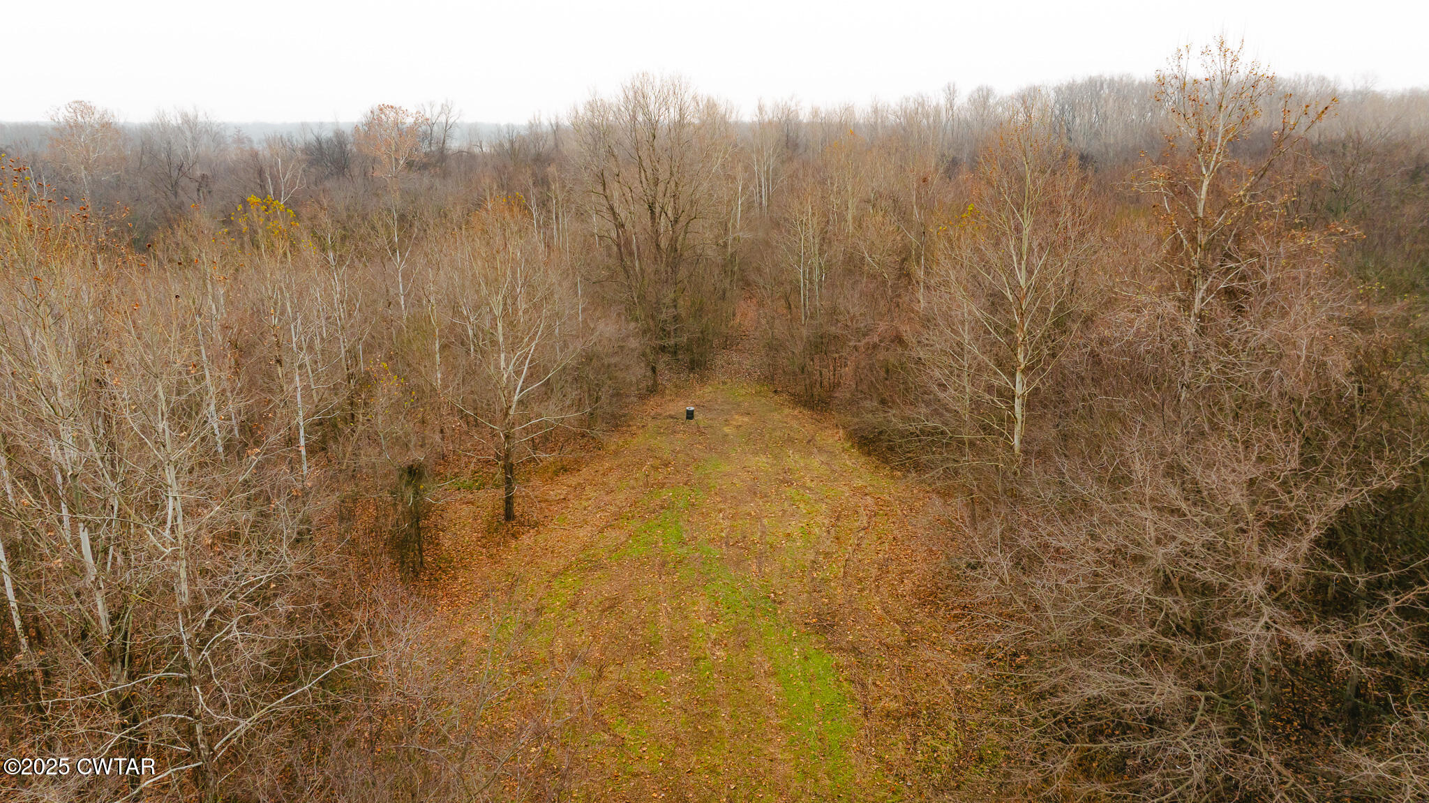 0 State Route 79 Ridgely, TN 38080 - Photo 11 of 30 a view of a dry yard