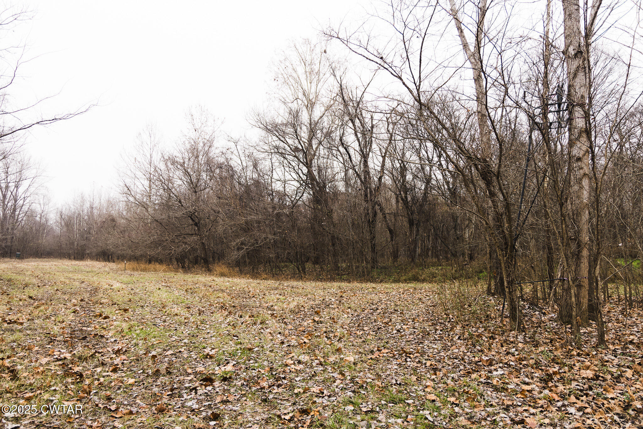 0 State Route 79 Ridgely, TN 38080 - Photo 12 of 30 a view of a yard