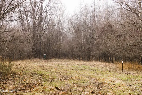 a view of covered with green space