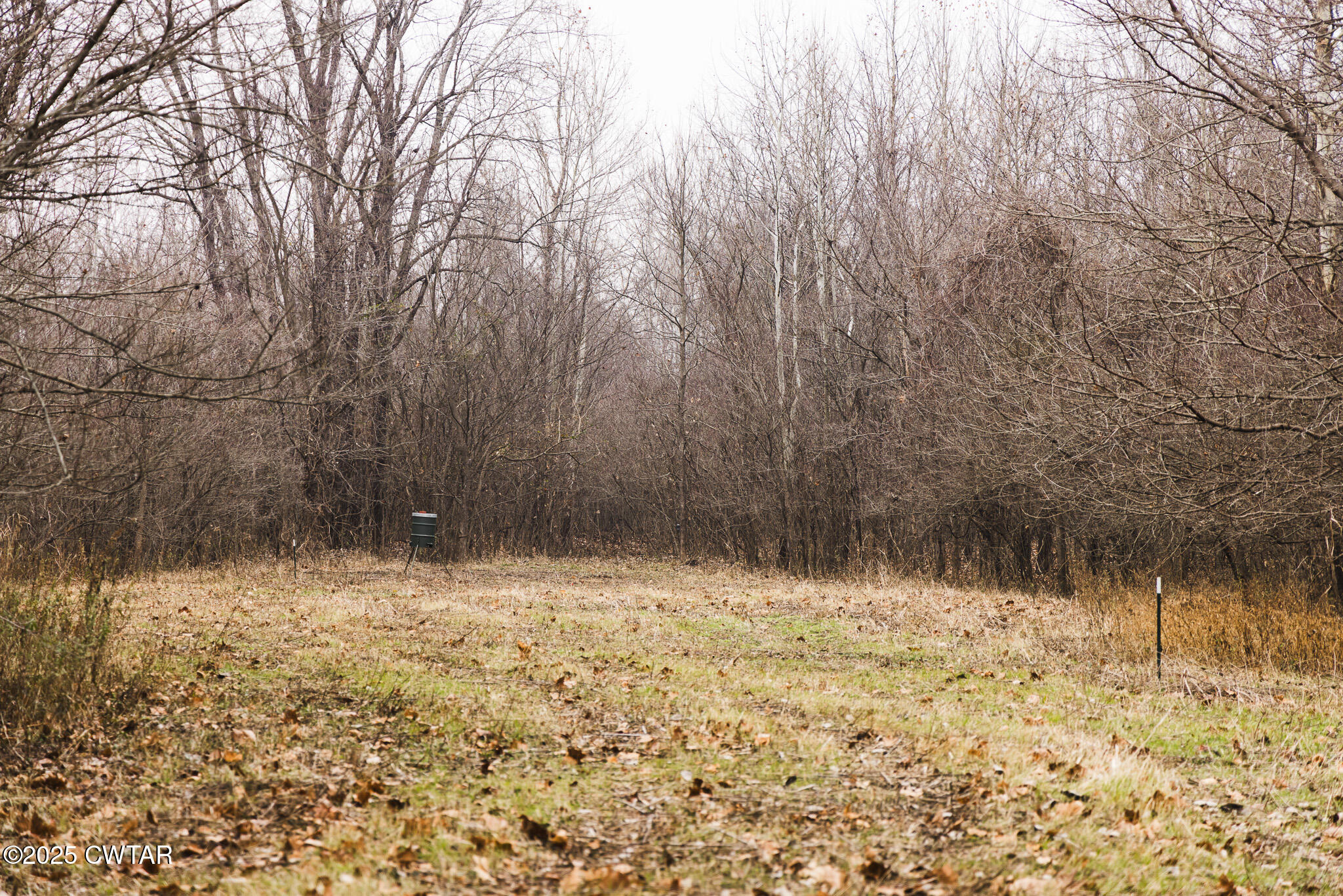 0 State Route 79 Ridgely, TN 38080 - Photo 13 of 30 FT8A8070