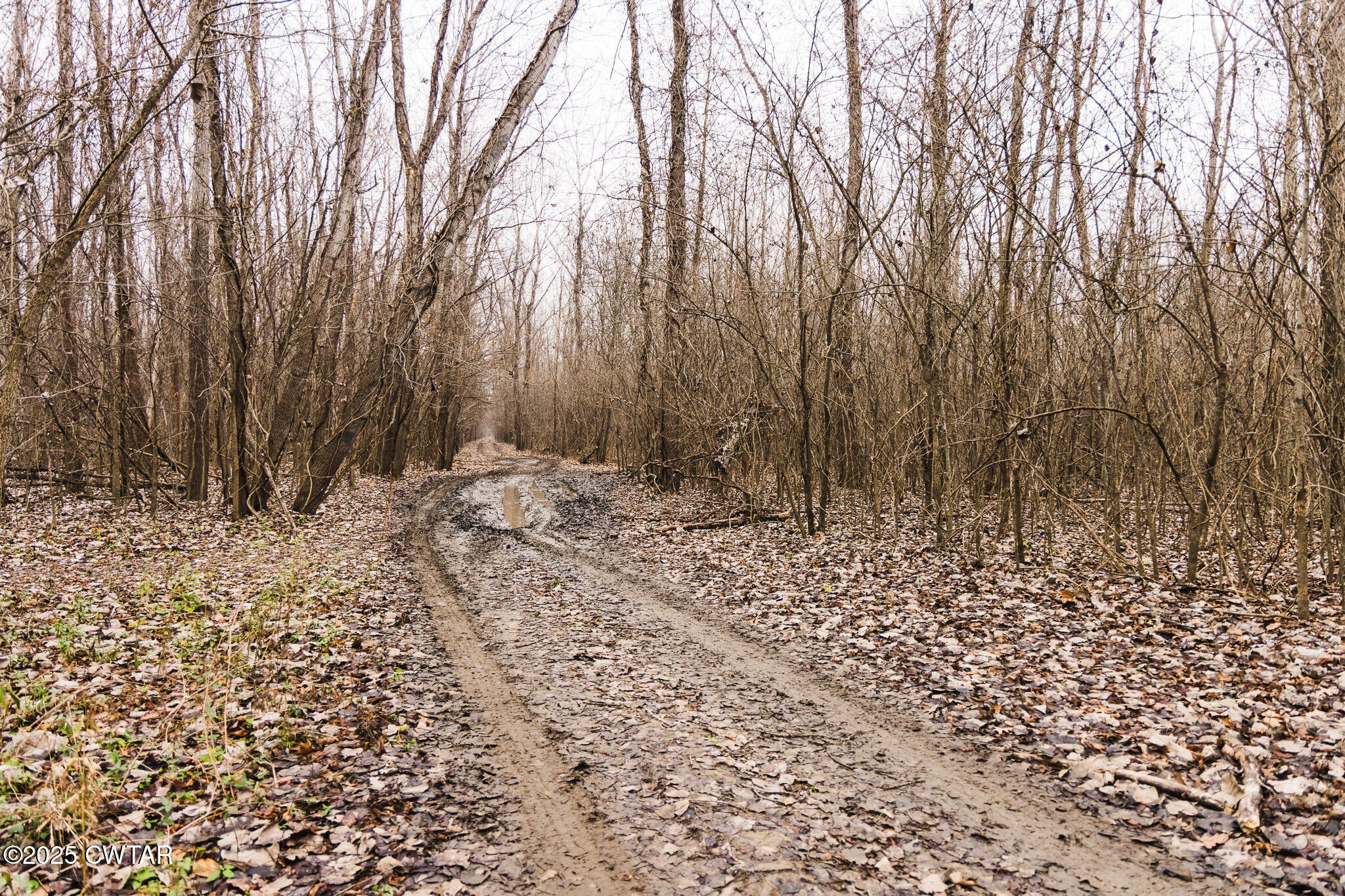 0 State Route 79 Ridgely, TN 38080 - Photo 15 of 30 a view of wooden fence