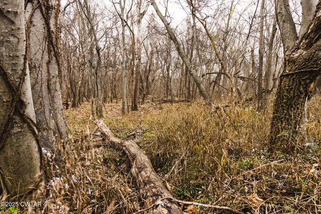 a view of outdoor space with trees all around