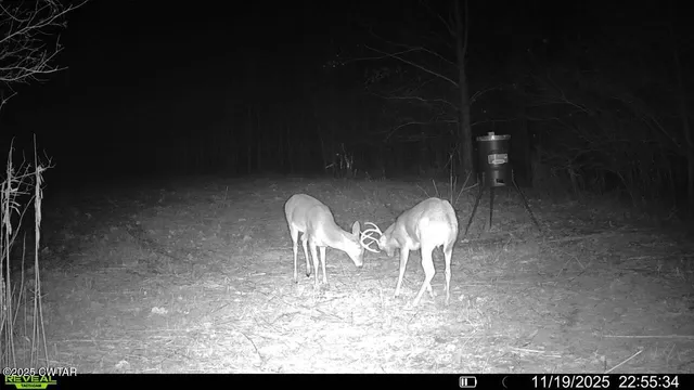a view of a backyard of the house