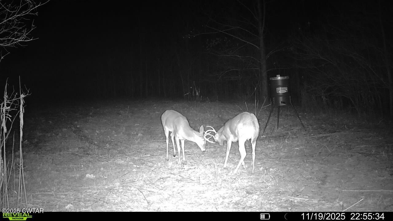 0 State Route 79 Ridgely, TN 38080 - Photo 18 of 30 a view of a livingroom with furniture
