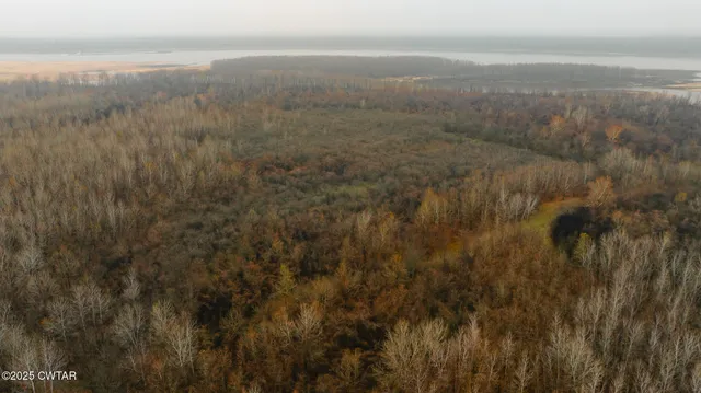 a view of an ocean and beach