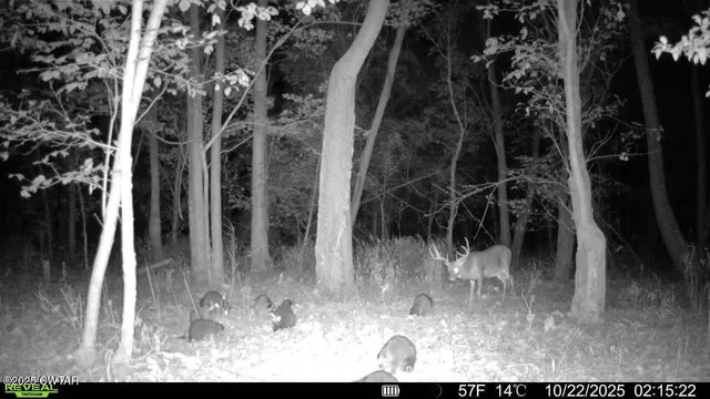 $275,000 | 0 State Route 79, Ridgely, TN 38080