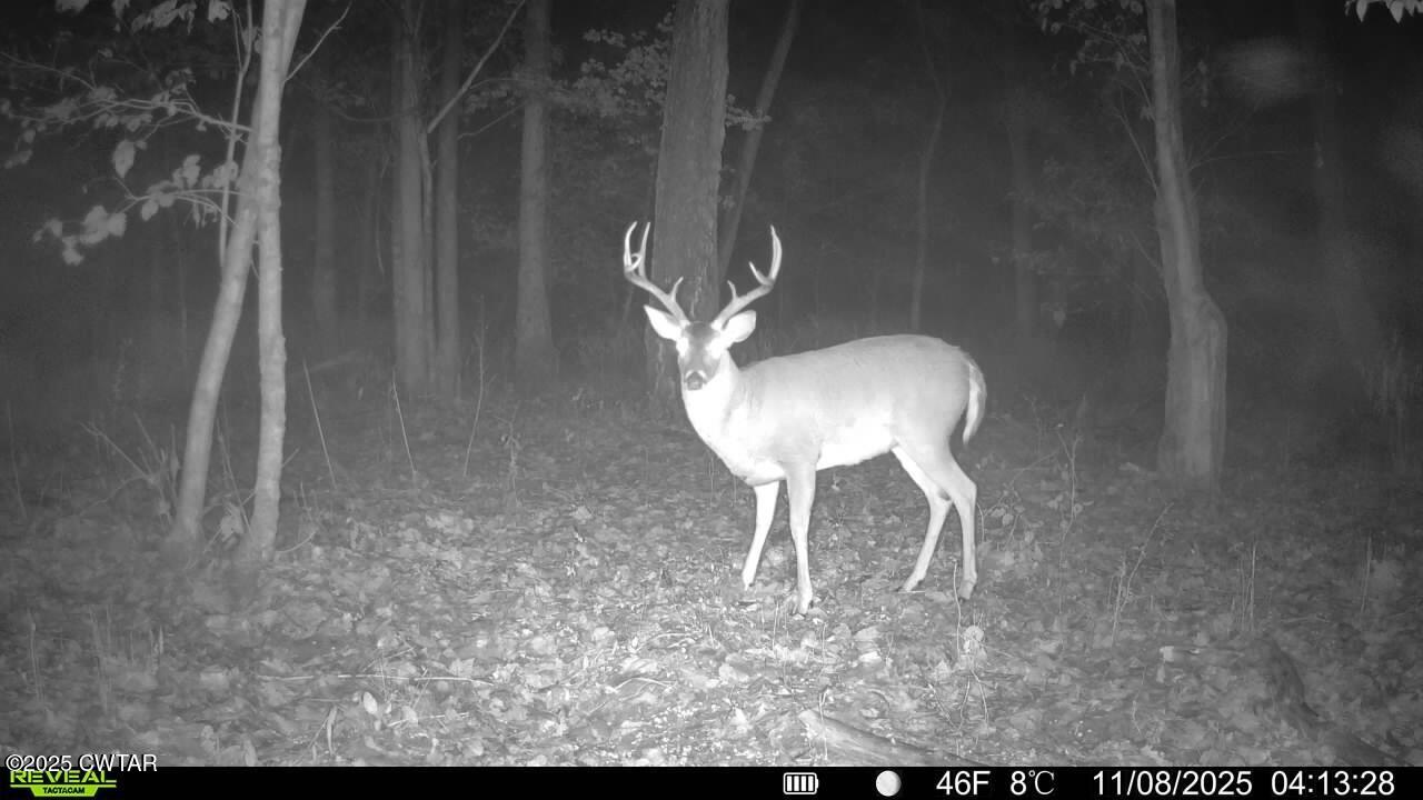 0 State Route 79 Ridgely, TN 38080 - Photo 26 of 30 a view of a hallway