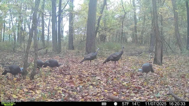 $275,000 | 0 State Route 79, Ridgely, TN 38080